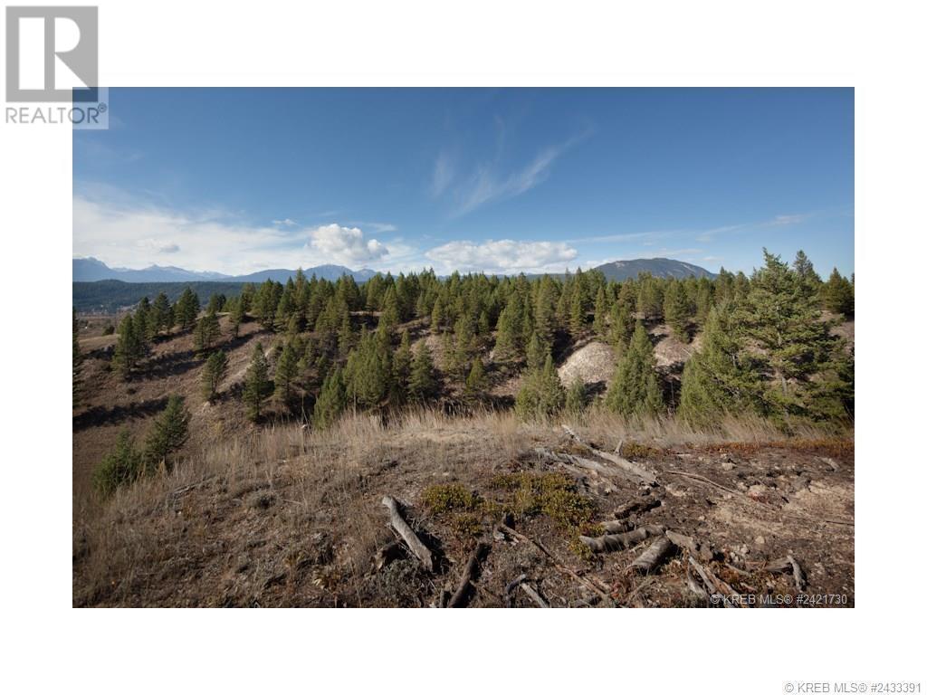 Lot 18 Saddlewood Lane, Radium Hot Springs, British Columbia  V0A 1M0 - Photo 6 - 10347687