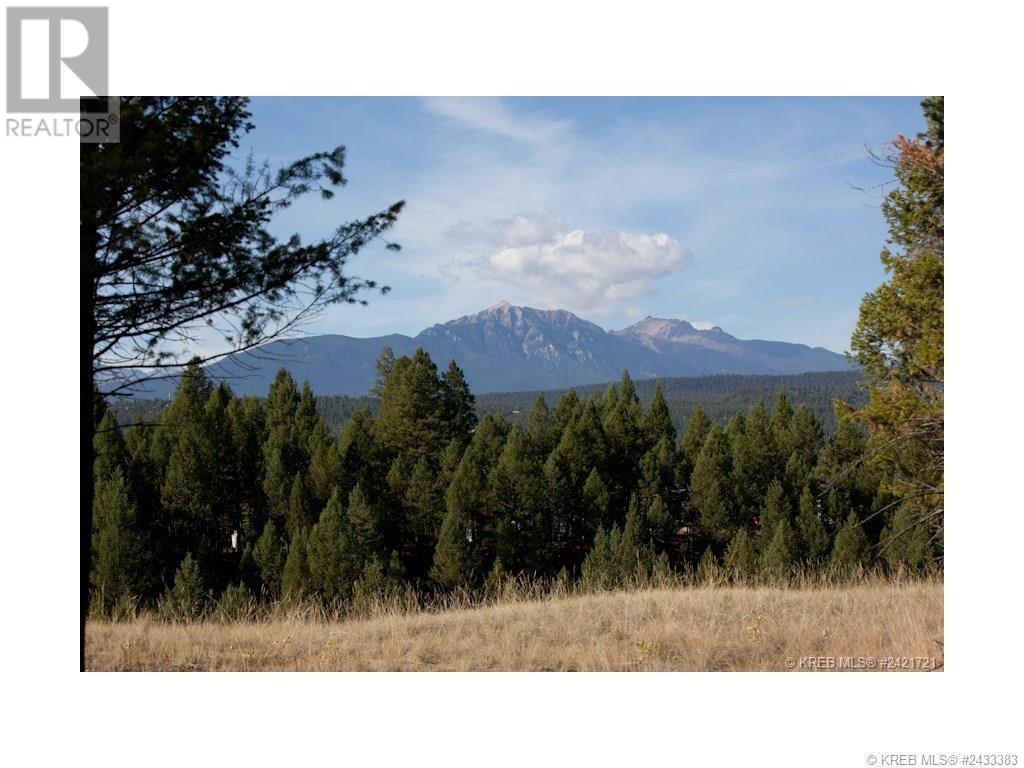 Lot 11 Saddlewood Lane, Radium Hot Springs, British Columbia  V0A 1M0 - Photo 11 - 10347681