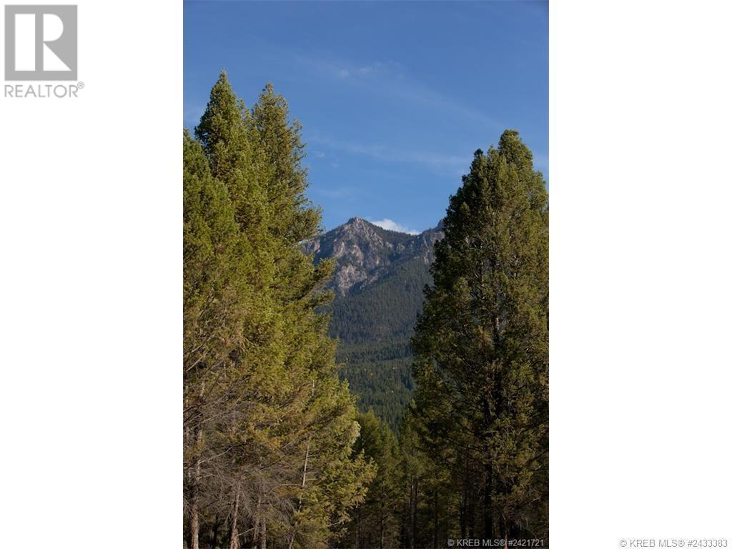 Lot 11 Saddlewood Lane, Radium Hot Springs, British Columbia  V0A 1M0 - Photo 12 - 10347681