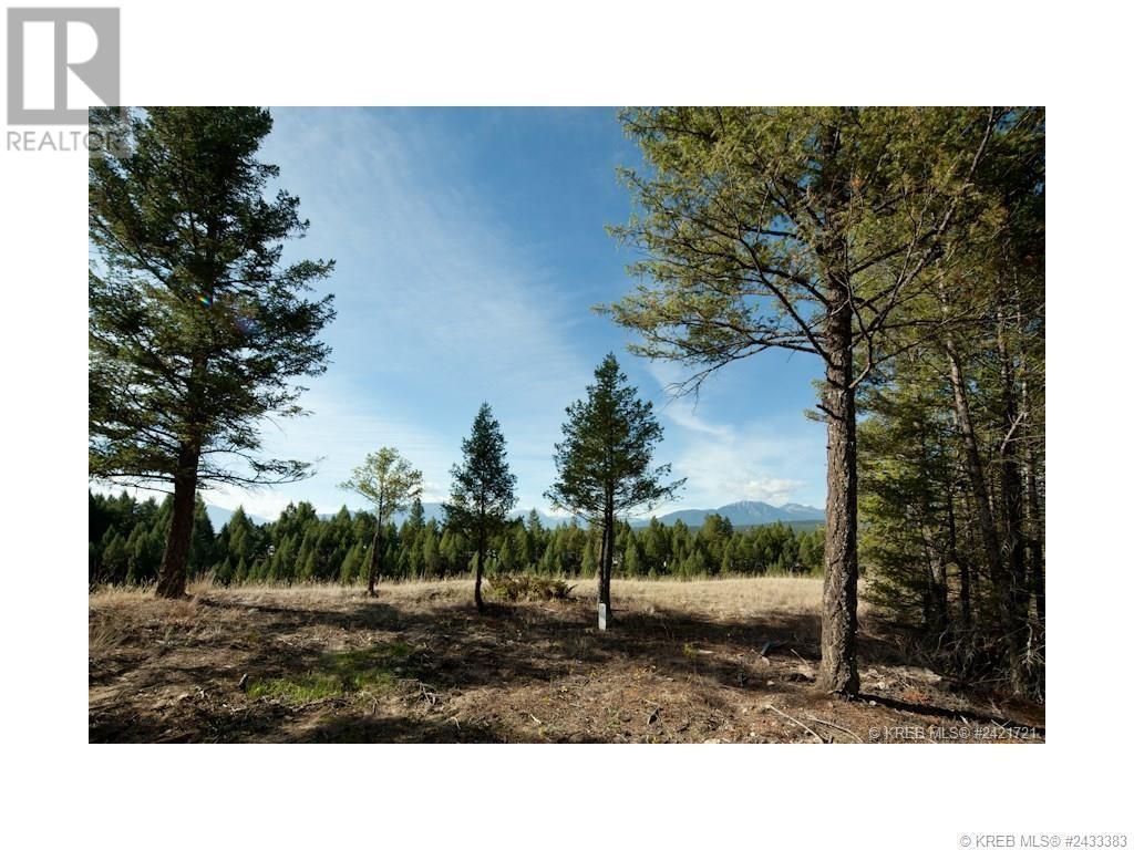 Lot 11 Saddlewood Lane, Radium Hot Springs, British Columbia  V0A 1M0 - Photo 16 - 10347681