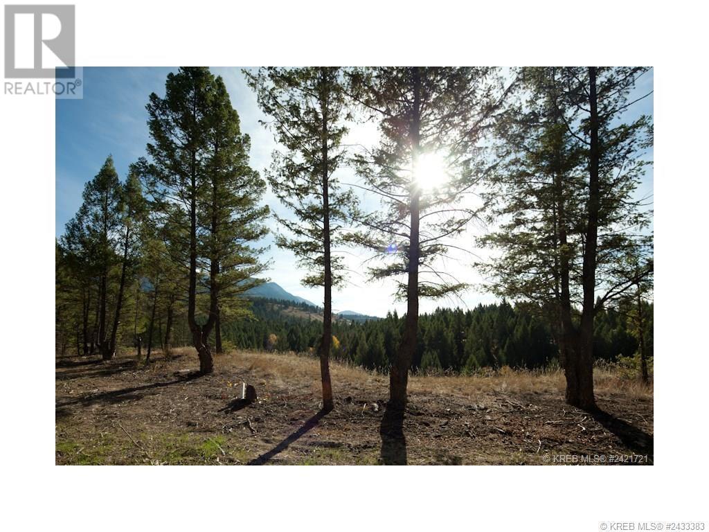 Lot 11 Saddlewood Lane, Radium Hot Springs, British Columbia  V0A 1M0 - Photo 17 - 10347681