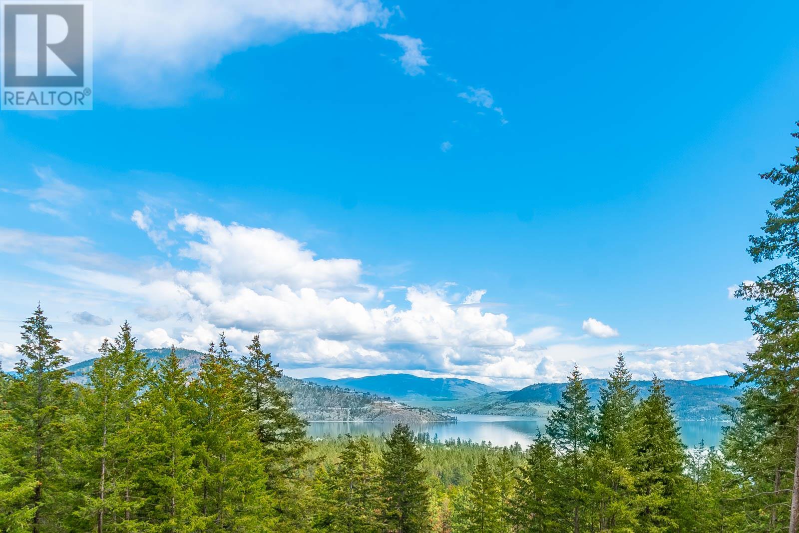 10665 Westshore Road, Vernon, British Columbia  V1H 2C2 - Photo 1 - 10347071