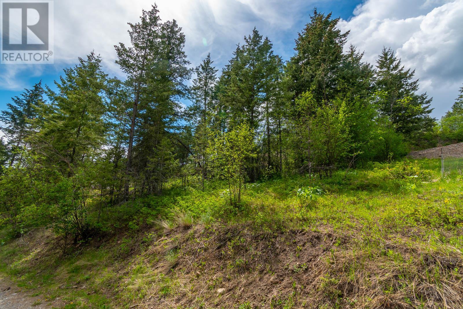 10665 Westshore Road, Vernon, British Columbia  V1H 2C2 - Photo 10 - 10347071