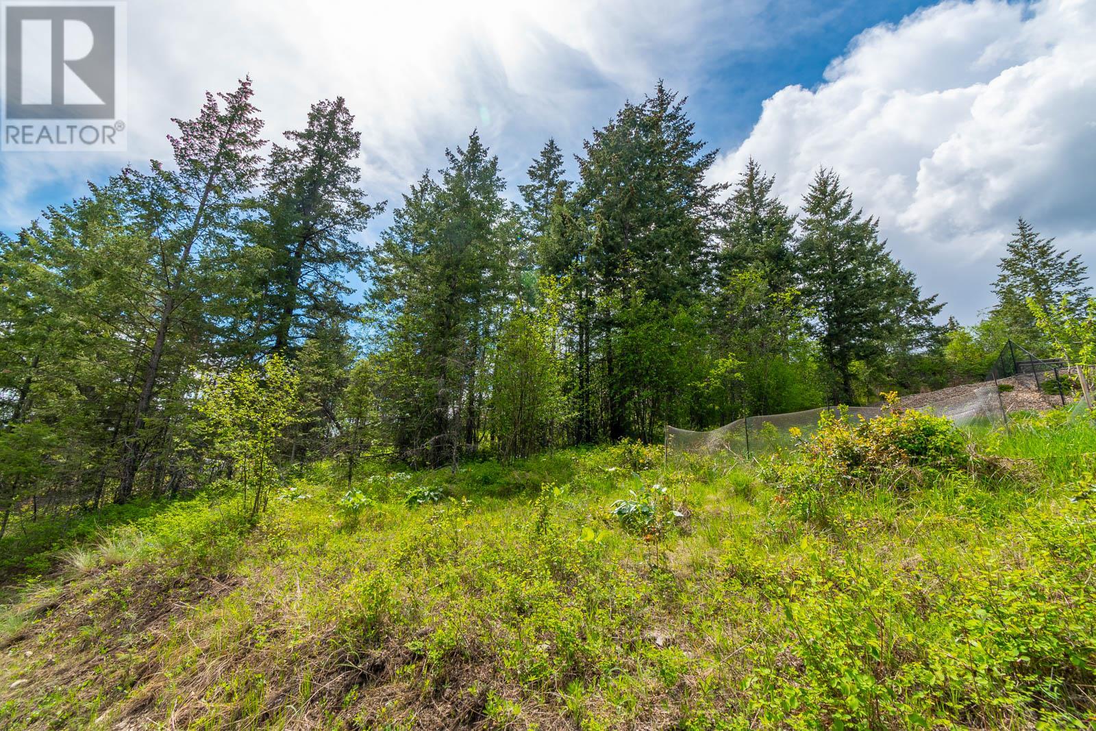 10665 Westshore Road, Vernon, British Columbia  V1H 2C2 - Photo 11 - 10347071