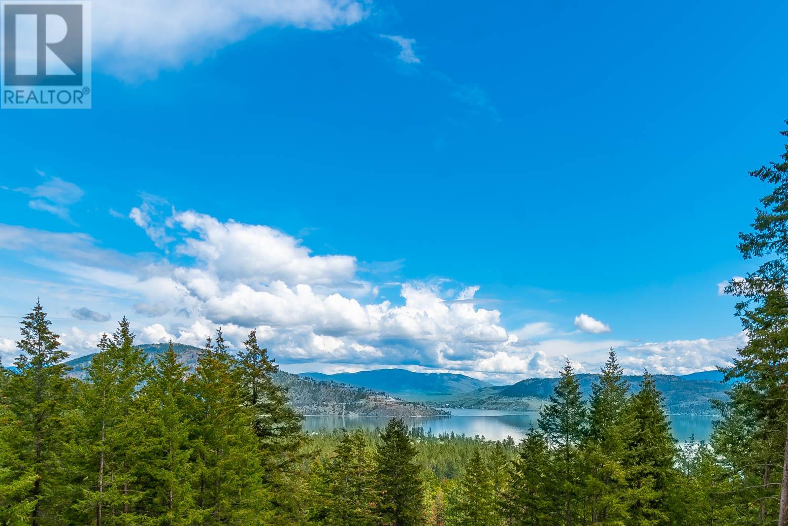 10665 Westshore Road, Vernon, British Columbia  V1H 2C2 - Photo 4 - 10347071