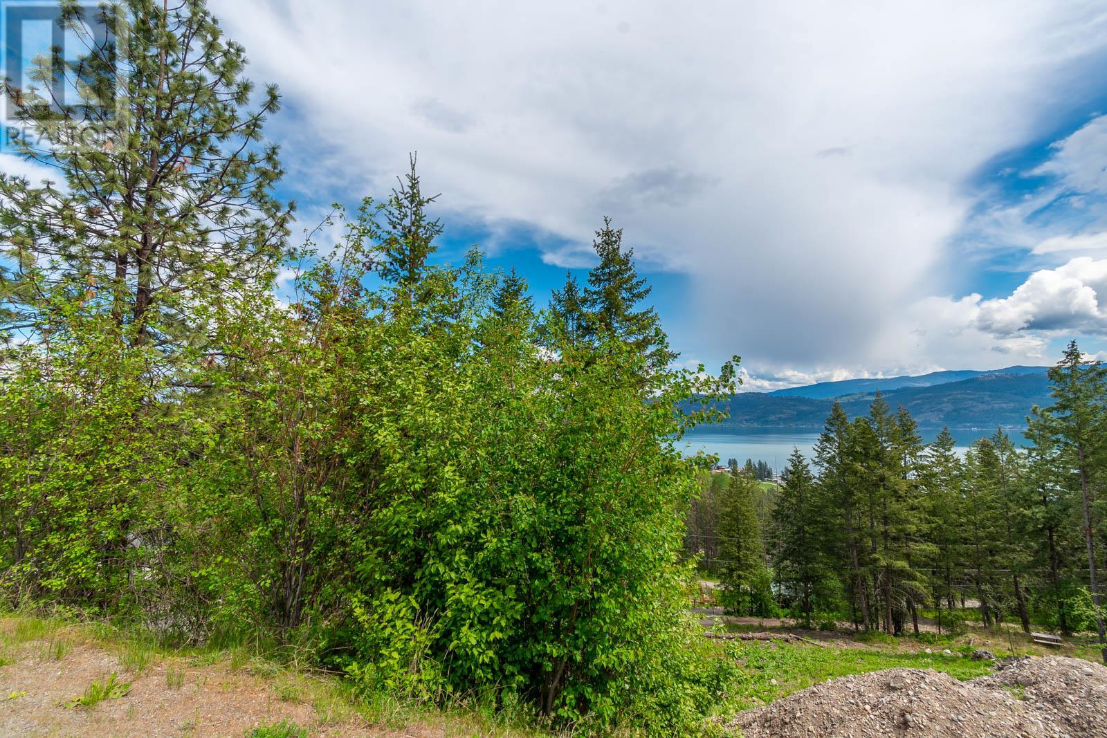 10665 Westshore Road, Vernon, British Columbia  V1H 2C2 - Photo 5 - 10347071