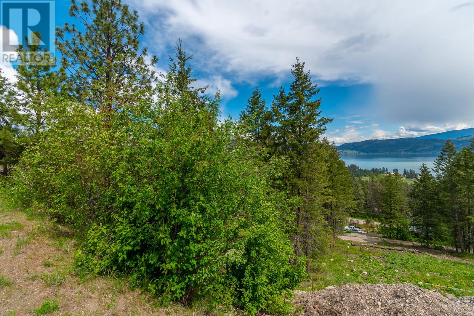 10665 Westshore Road, Vernon, British Columbia  V1H 2C2 - Photo 6 - 10347071