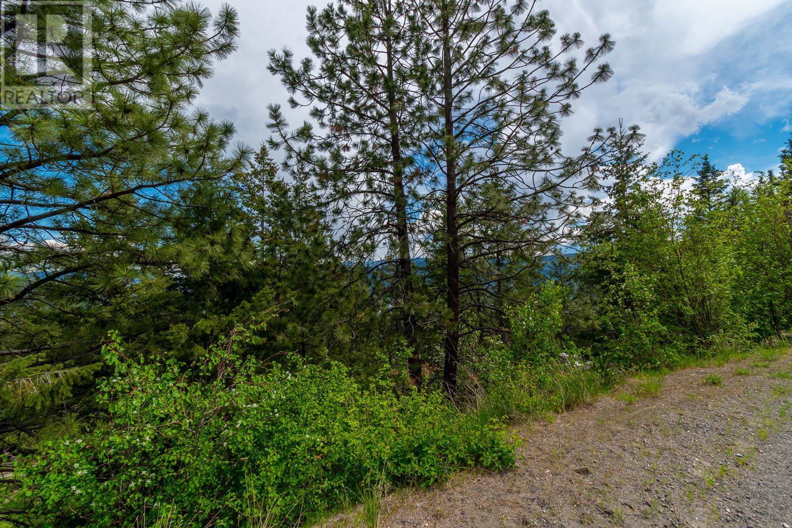 10665 Westshore Road, Vernon, British Columbia  V1H 2C2 - Photo 7 - 10347071