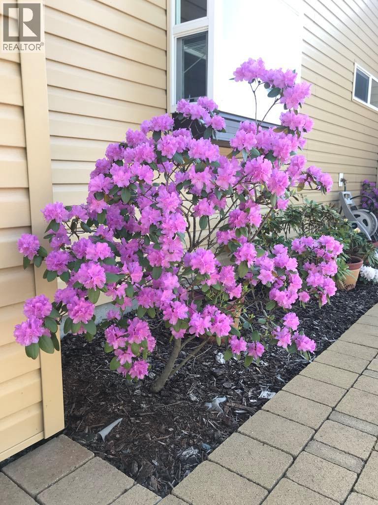 4147 4th Street, Vernon, British Columbia  V1H 1Z1 - Photo 5 - 10347175