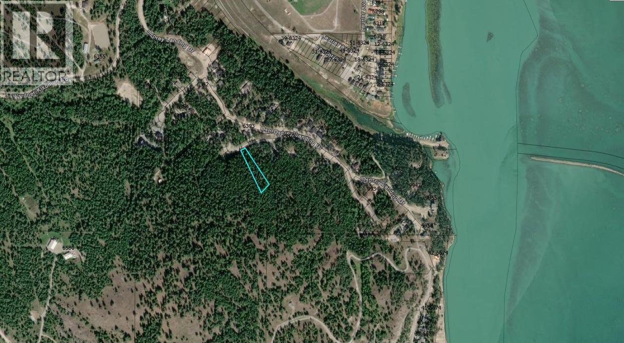 Sl57 Osprey Landing View, Wardner, British Columbia  V0B 2J0 - Photo 2 - 10347777