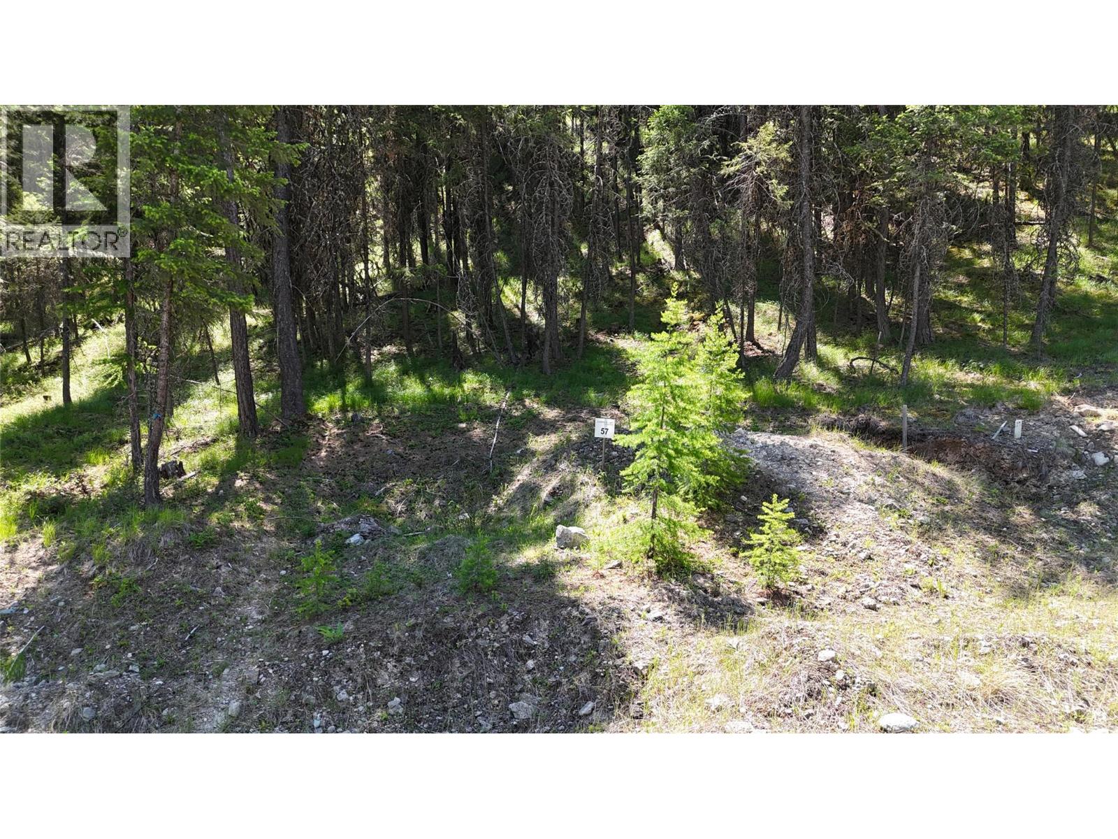 Sl57 Osprey Landing View, Wardner, British Columbia  V0B 2J0 - Photo 3 - 10347777
