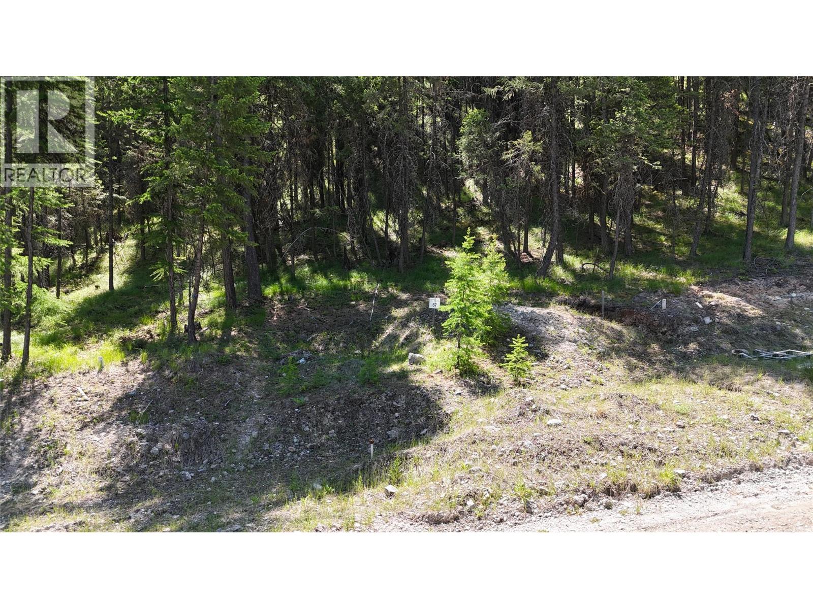 Sl57 Osprey Landing View, Wardner, British Columbia  V0B 2J0 - Photo 4 - 10347777