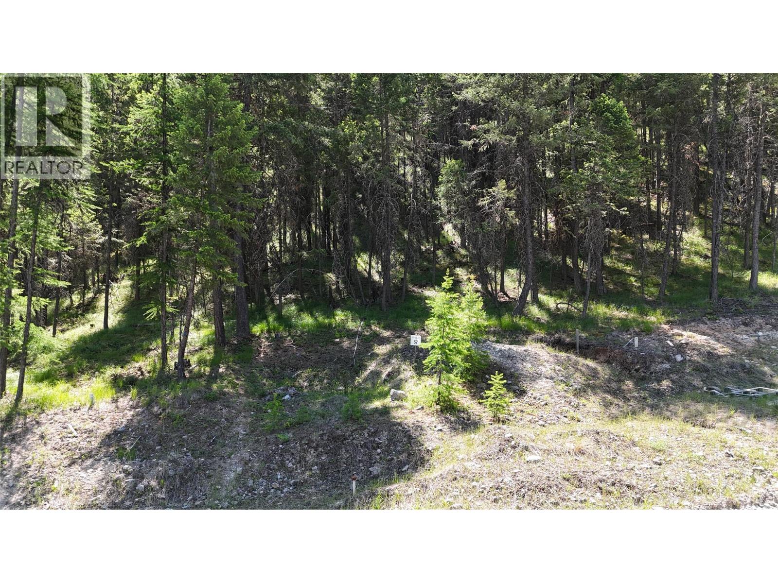 Sl57 Osprey Landing View, Wardner, British Columbia  V0B 2J0 - Photo 5 - 10347777