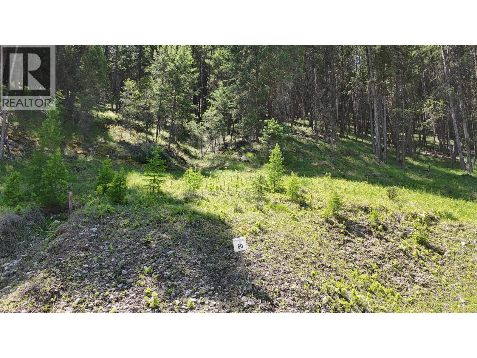 Sl60 Osprey Landing  View, Wardner, British Columbia  V0B 2J0 - Photo 3 - 10347775