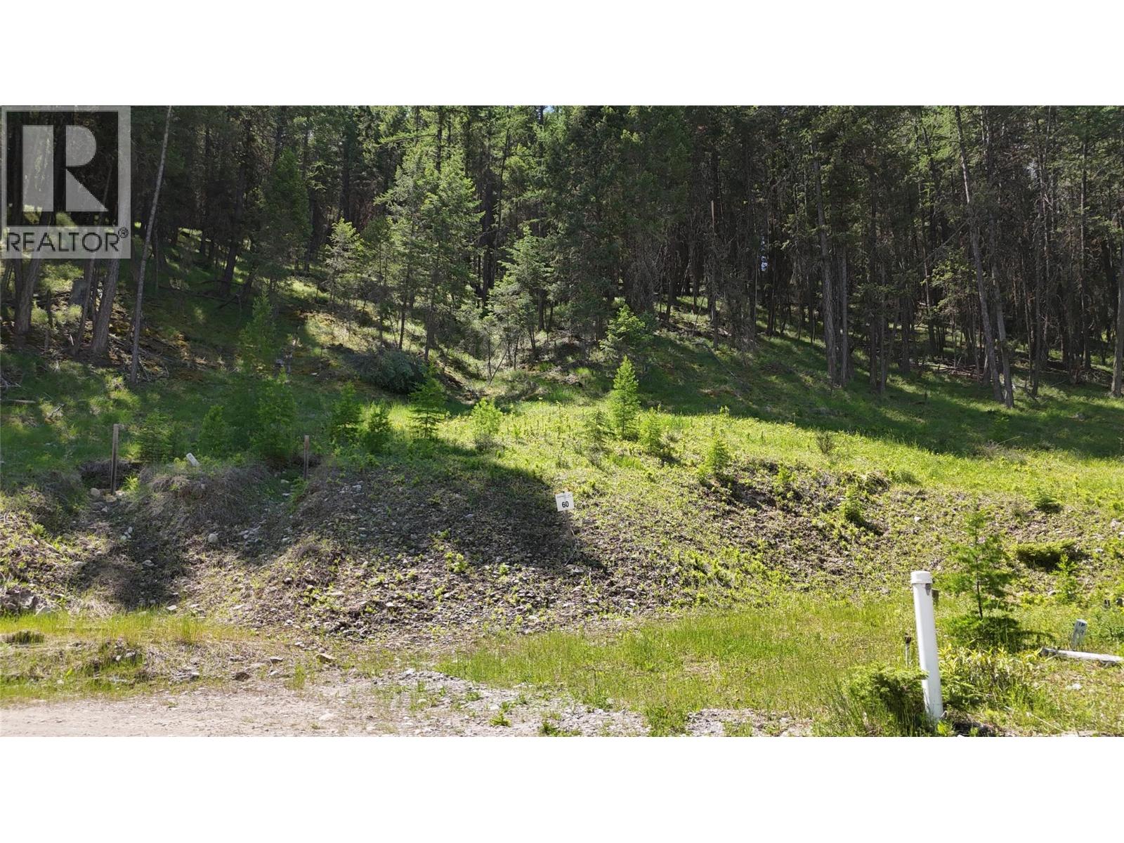 Sl60 Osprey Landing  View, Wardner, British Columbia  V0B 2J0 - Photo 4 - 10347775