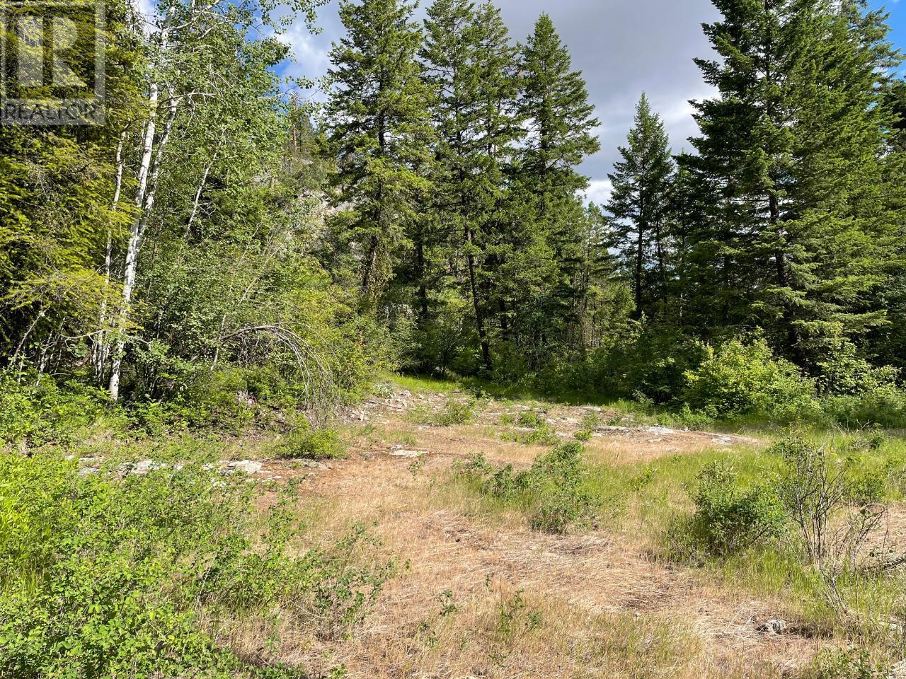 268 Grizzly Road, Osoyoos, British Columbia  V0H 1V6 - Photo 11 - 10347207