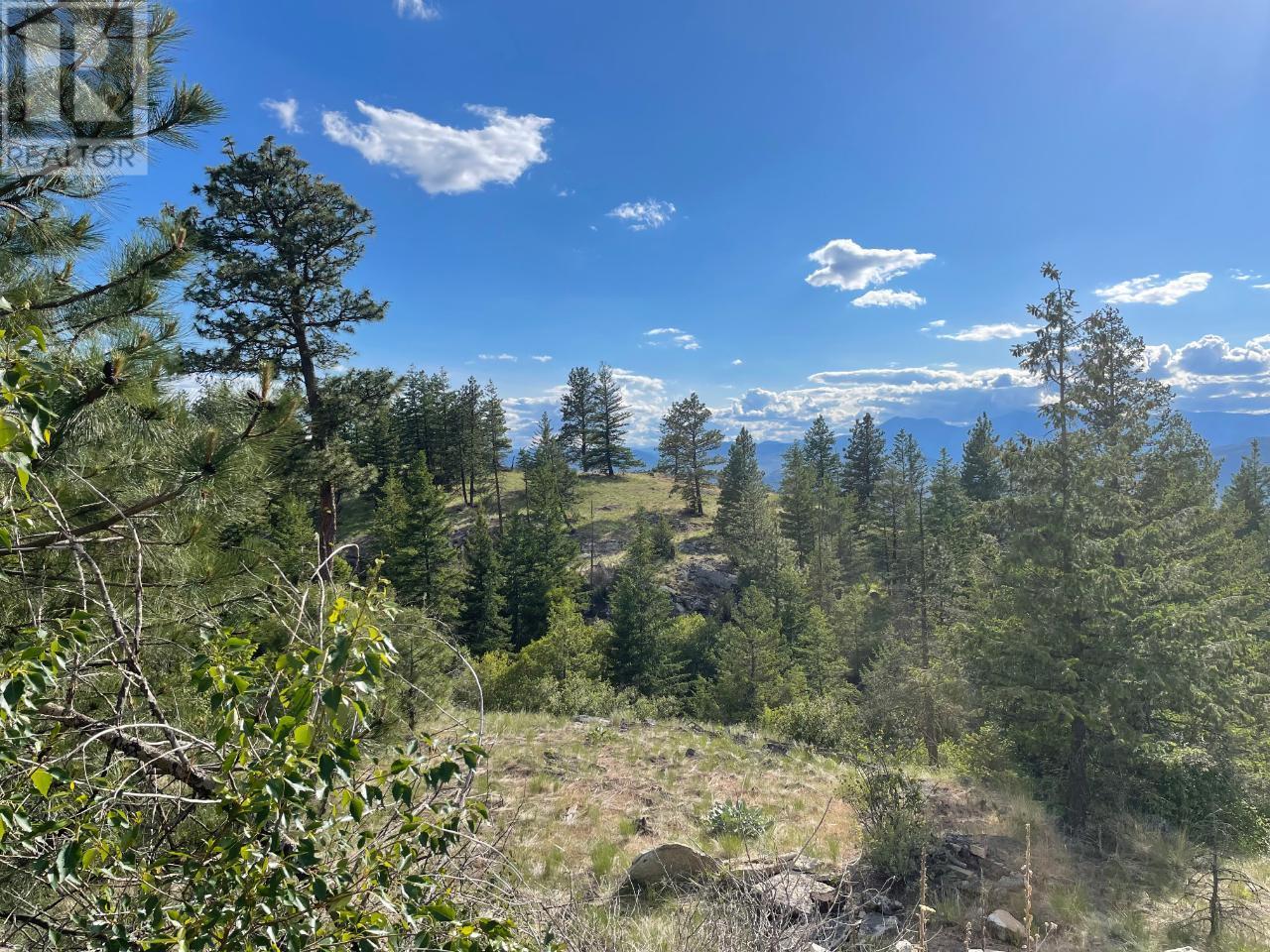 268 Grizzly Road, Osoyoos, British Columbia  V0H 1V6 - Photo 17 - 10347207