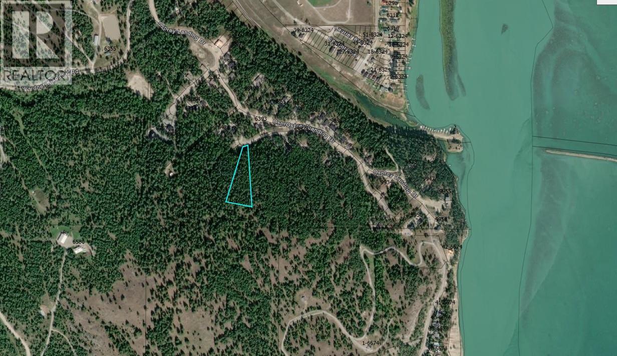 Sl59 Osprey Landing View, Wardner, British Columbia  V0B 2J0 - Photo 2 - 10347556