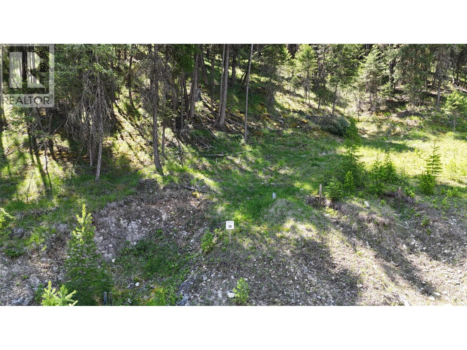 Sl59 Osprey Landing View, Wardner, British Columbia  V0B 2J0 - Photo 3 - 10347556