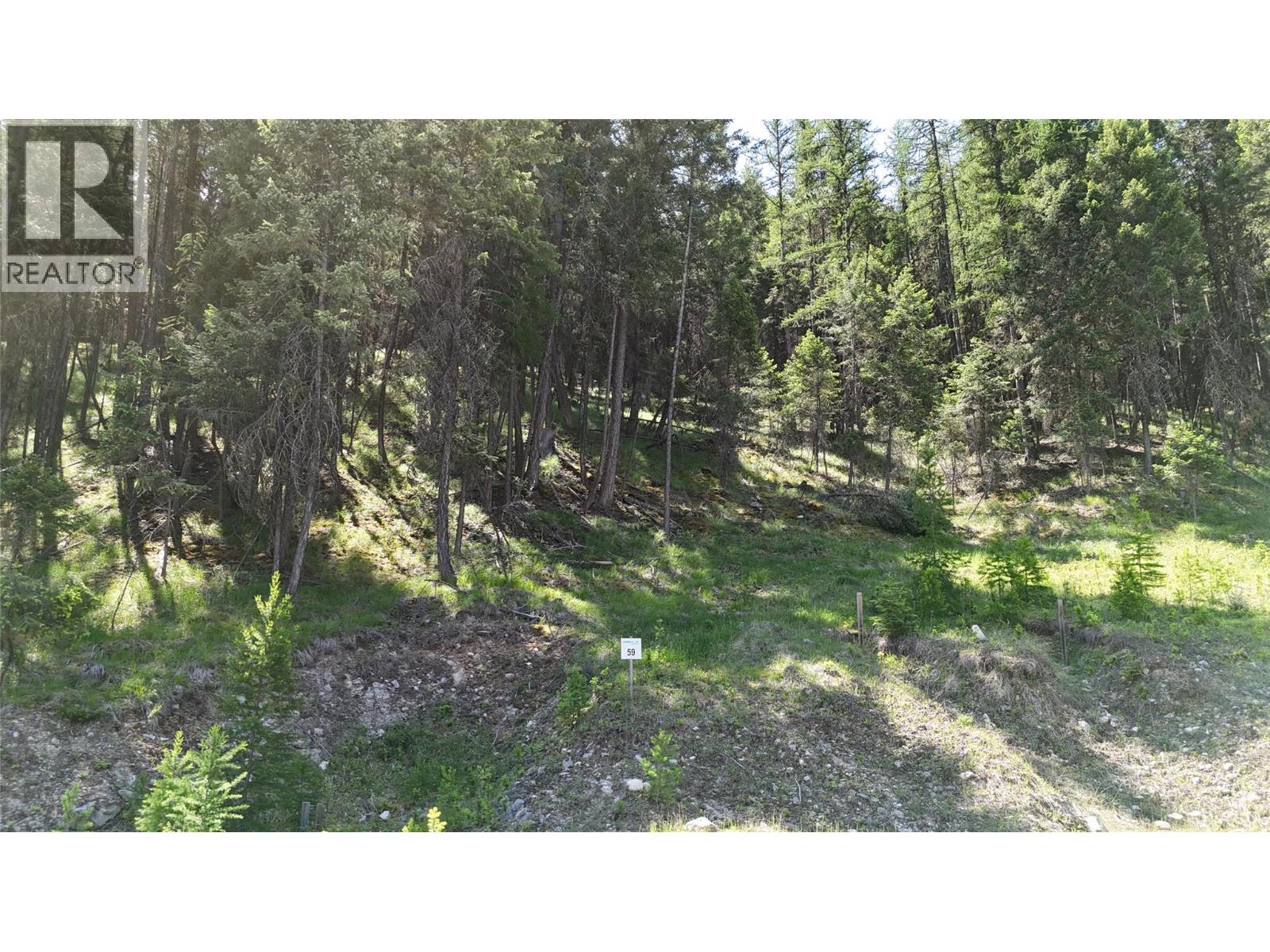 Sl59 Osprey Landing View, Wardner, British Columbia  V0B 2J0 - Photo 4 - 10347556