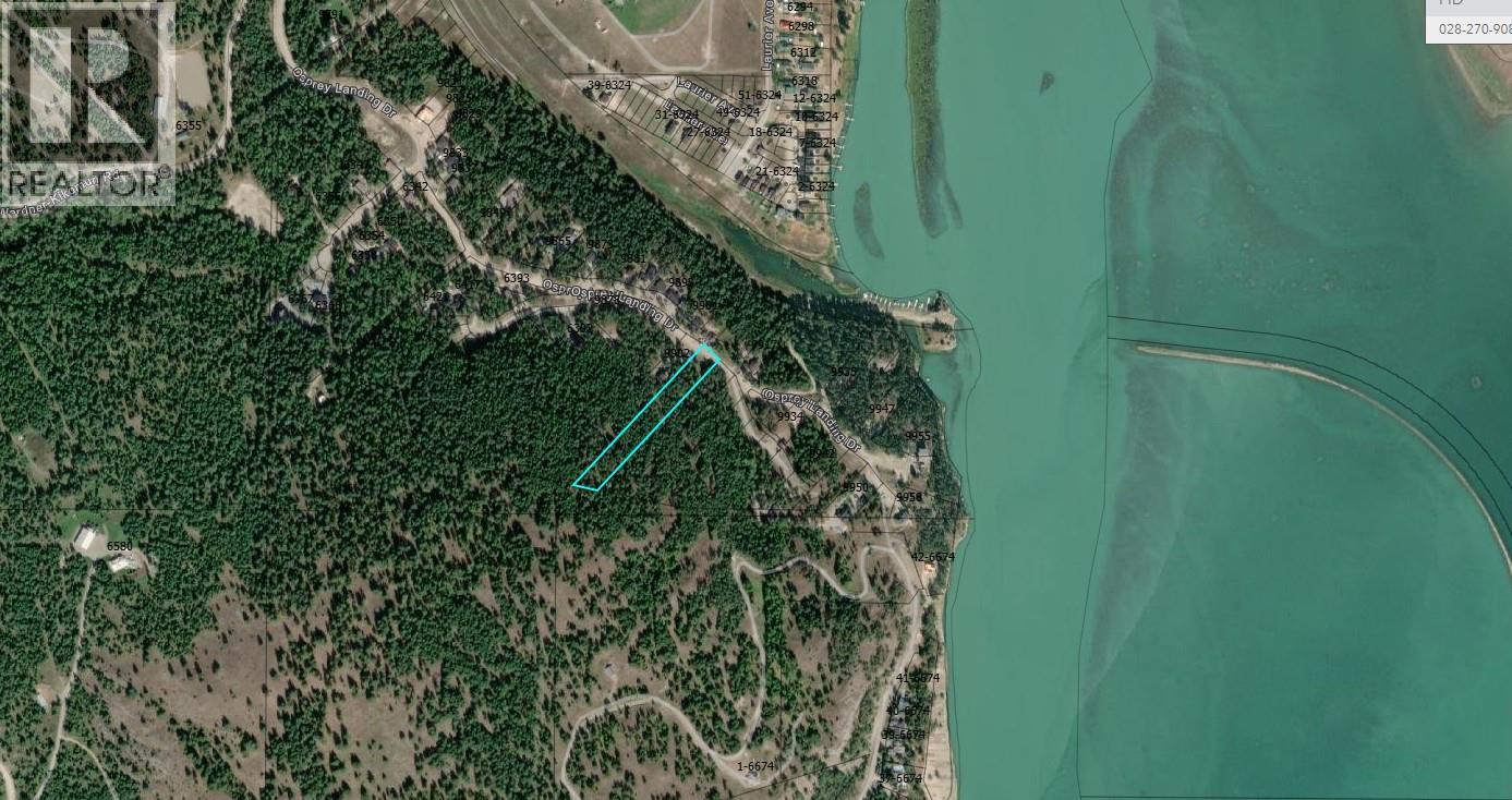 Sl48 Osprey Landing Drive, Wardner, British Columbia  V0B 2J0 - Photo 2 - 10347523