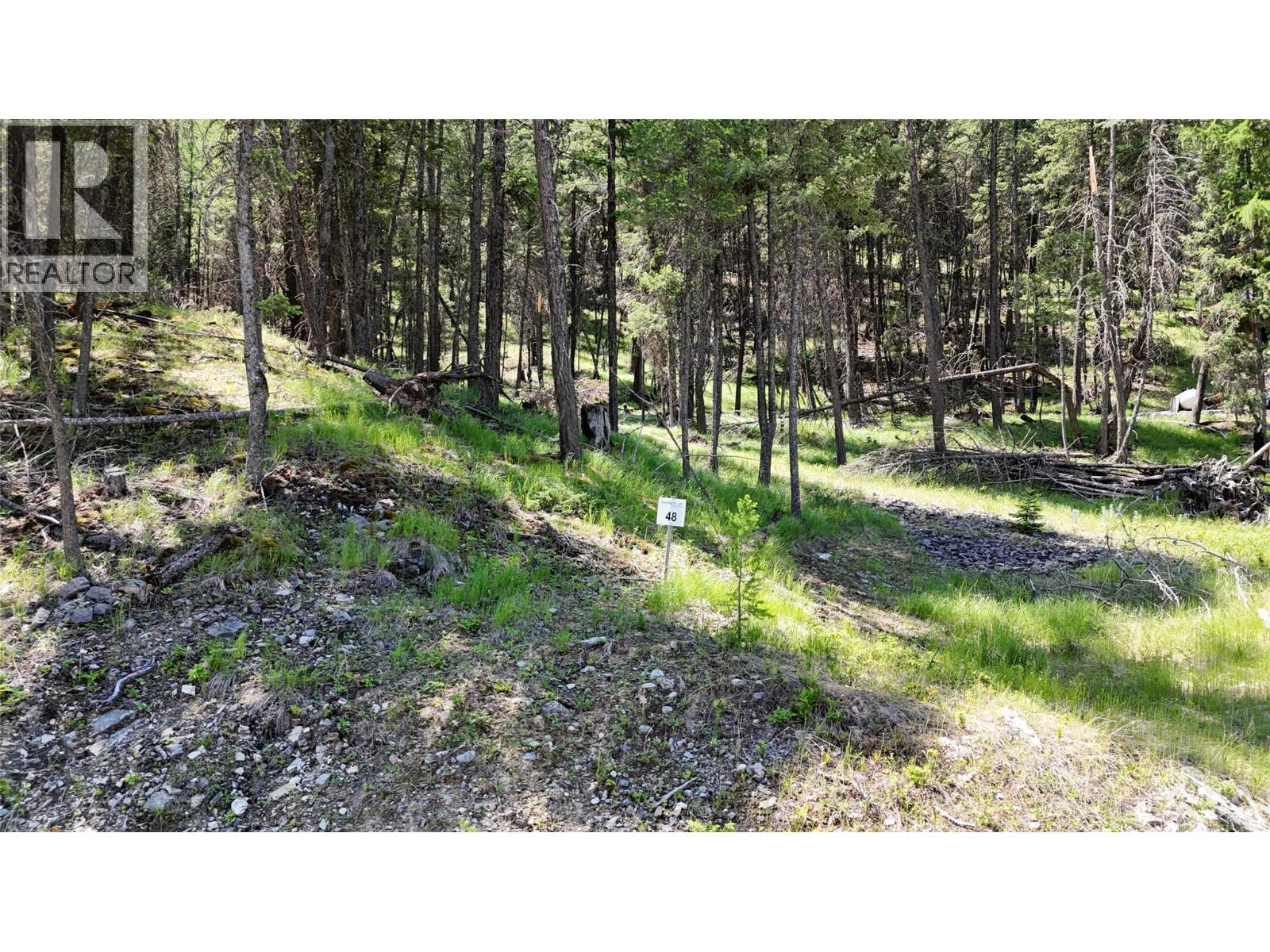 Sl48 Osprey Landing Drive, Wardner, British Columbia  V0B 2J0 - Photo 3 - 10347523