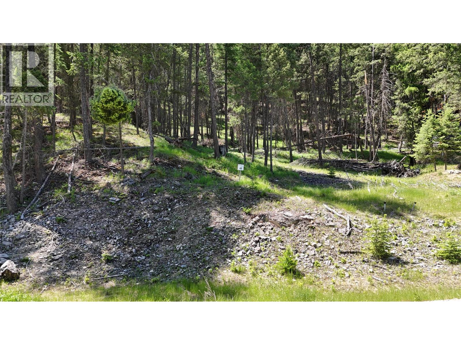 Sl48 Osprey Landing Drive, Wardner, British Columbia  V0B 2J0 - Photo 4 - 10347523