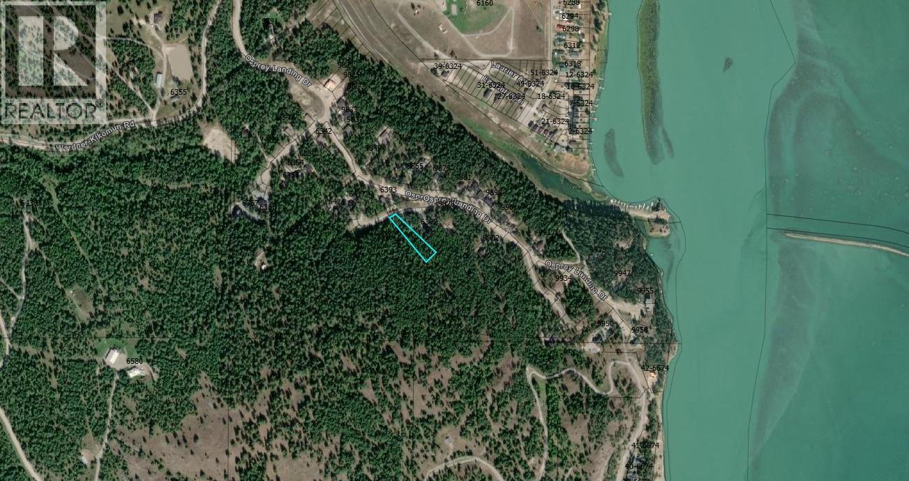 Sl 55 Osprey Landing View, Wardner, British Columbia  V0B 2J0 - Photo 2 - 10347531