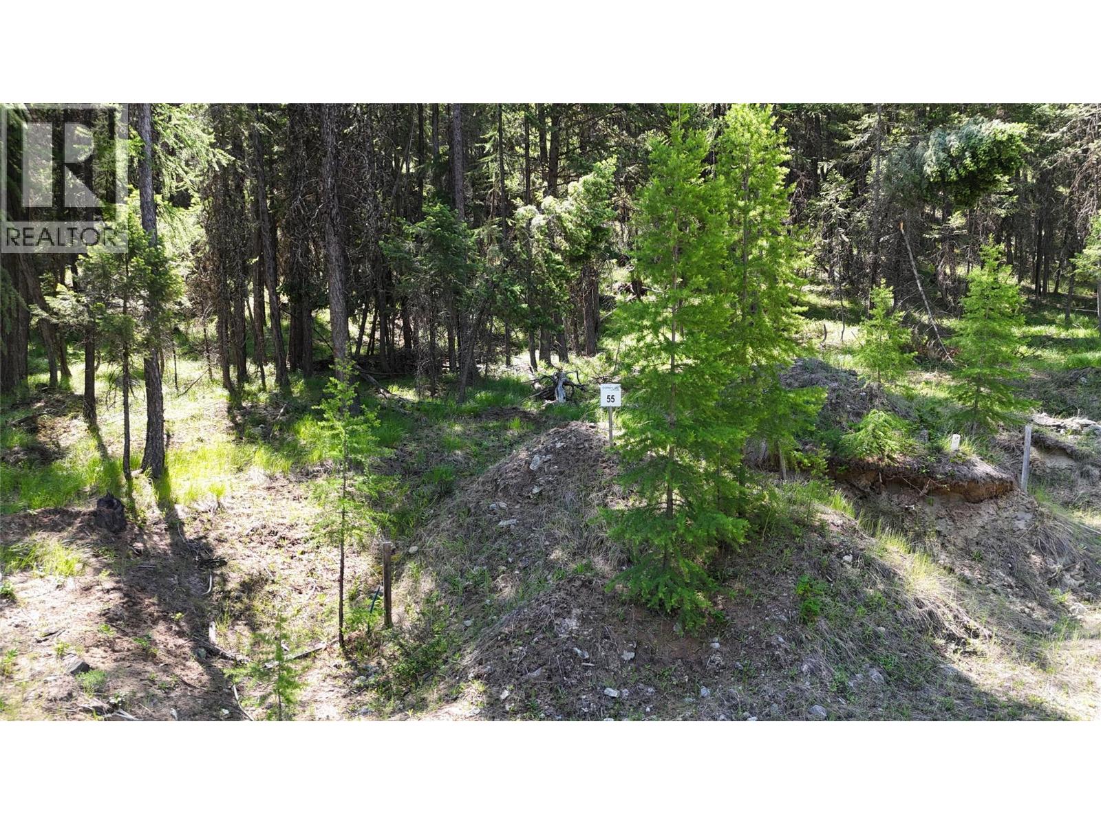 Sl 55 Osprey Landing View, Wardner, British Columbia  V0B 2J0 - Photo 3 - 10347531