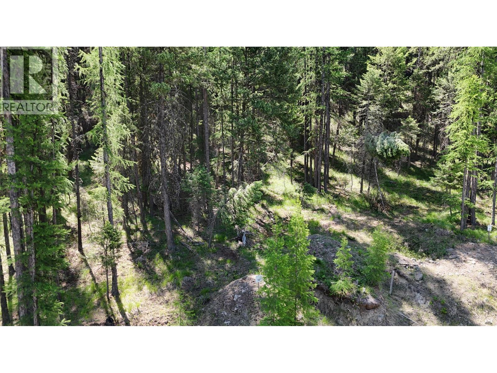 Sl 55 Osprey Landing View, Wardner, British Columbia  V0B 2J0 - Photo 4 - 10347531