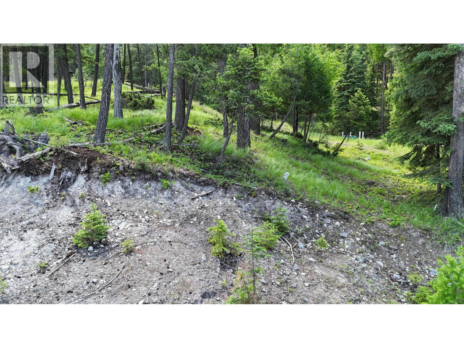 Sl44 Osprey Landing Drive, Wardner, British Columbia  V0B 2J0 - Photo 3 - 10347512