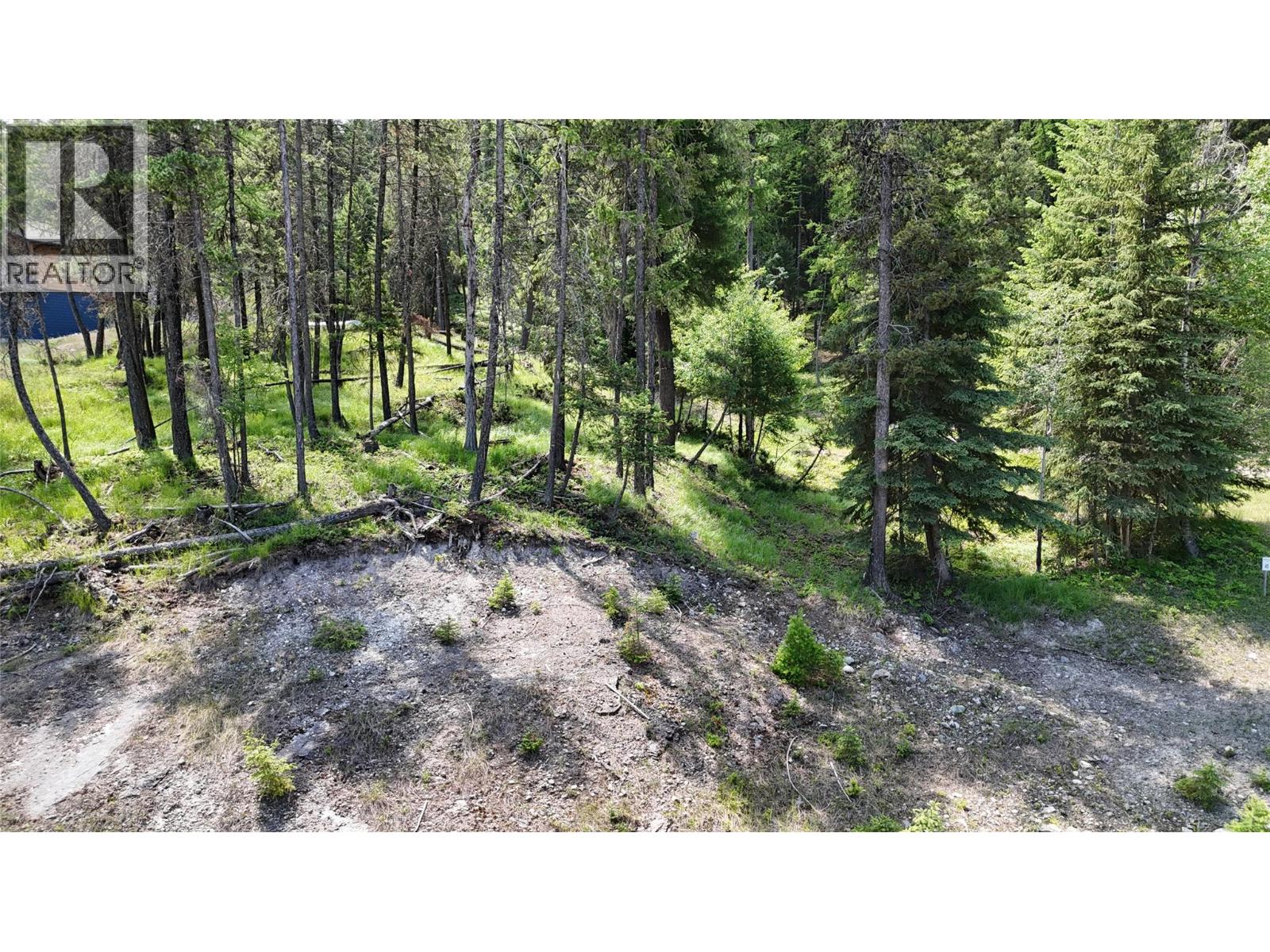 Sl44 Osprey Landing Drive, Wardner, British Columbia  V0B 2J0 - Photo 4 - 10347512