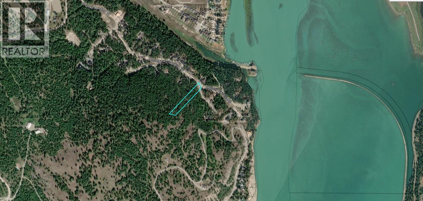 Sl46 Osprey Landing Drive, Wardner, British Columbia  V0B 2J0 - Photo 2 - 10347516