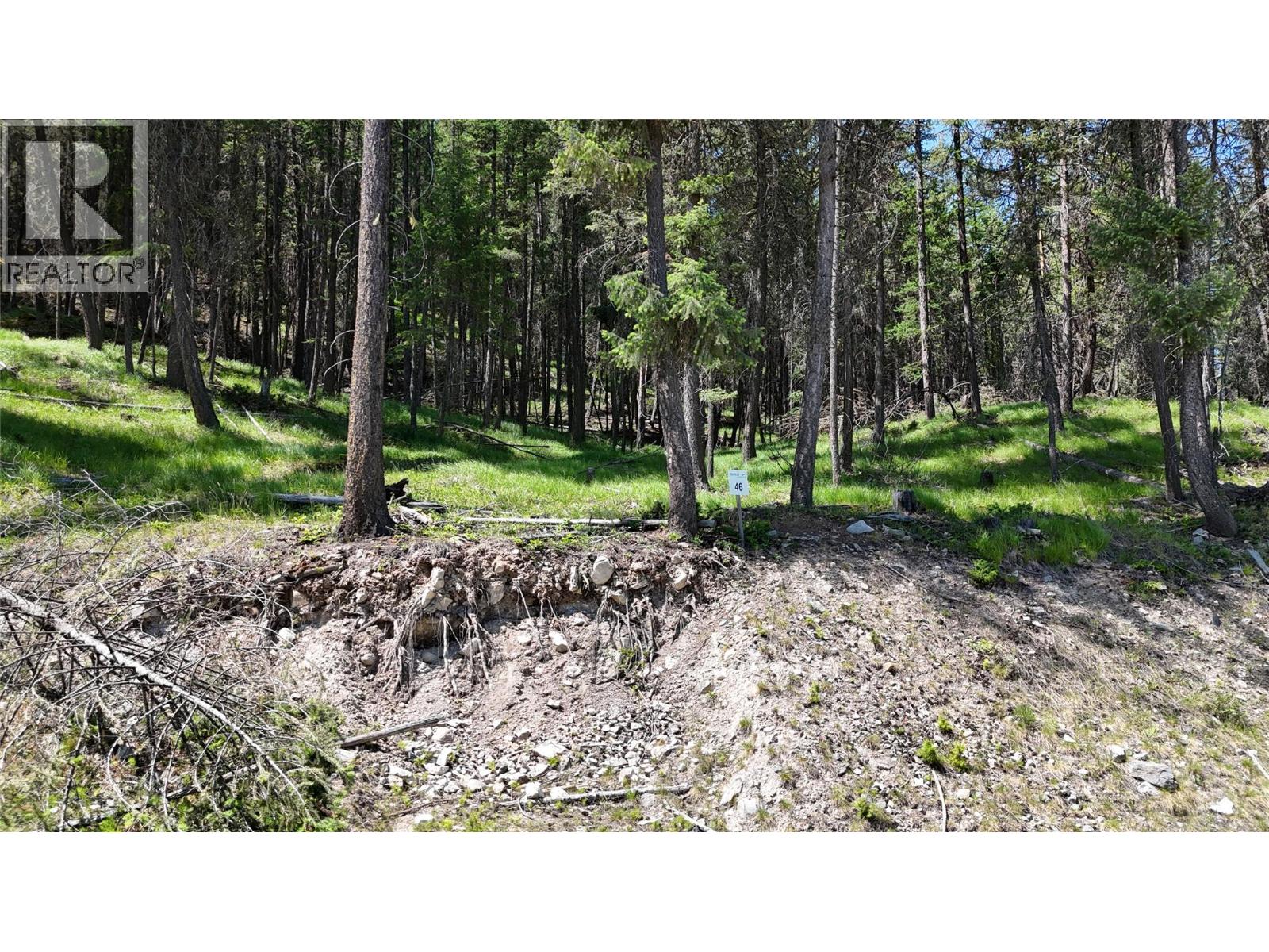 Sl46 Osprey Landing Drive, Wardner, British Columbia  V0B 2J0 - Photo 3 - 10347516