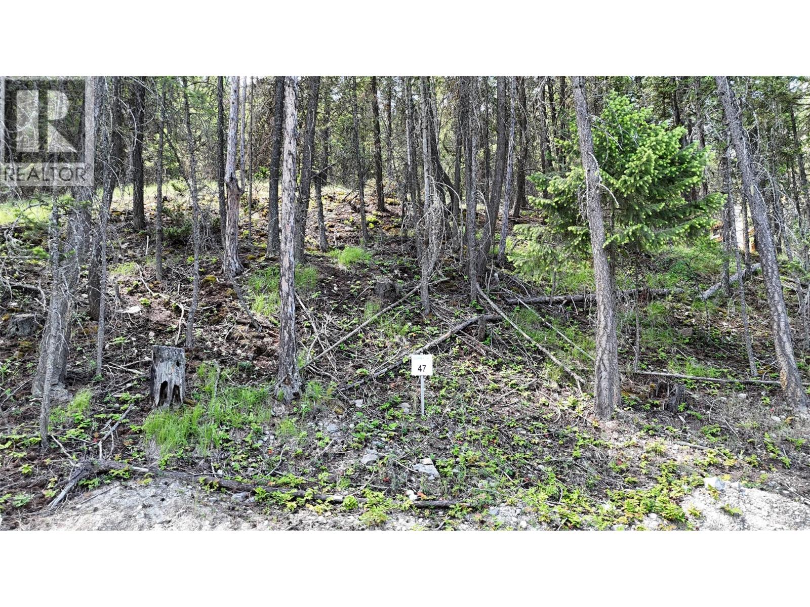 Sl47 Osprey Landing Drive, Wardner, British Columbia  V0B 2J0 - Photo 3 - 10347520