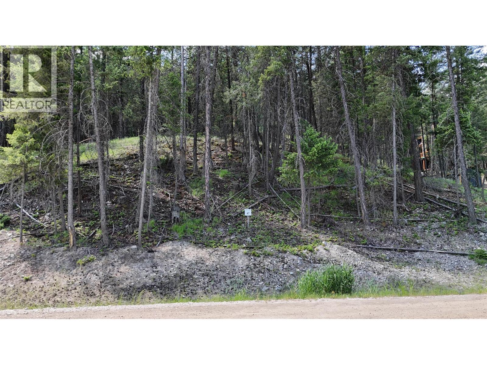 Sl47 Osprey Landing Drive, Wardner, British Columbia  V0B 2J0 - Photo 4 - 10347520