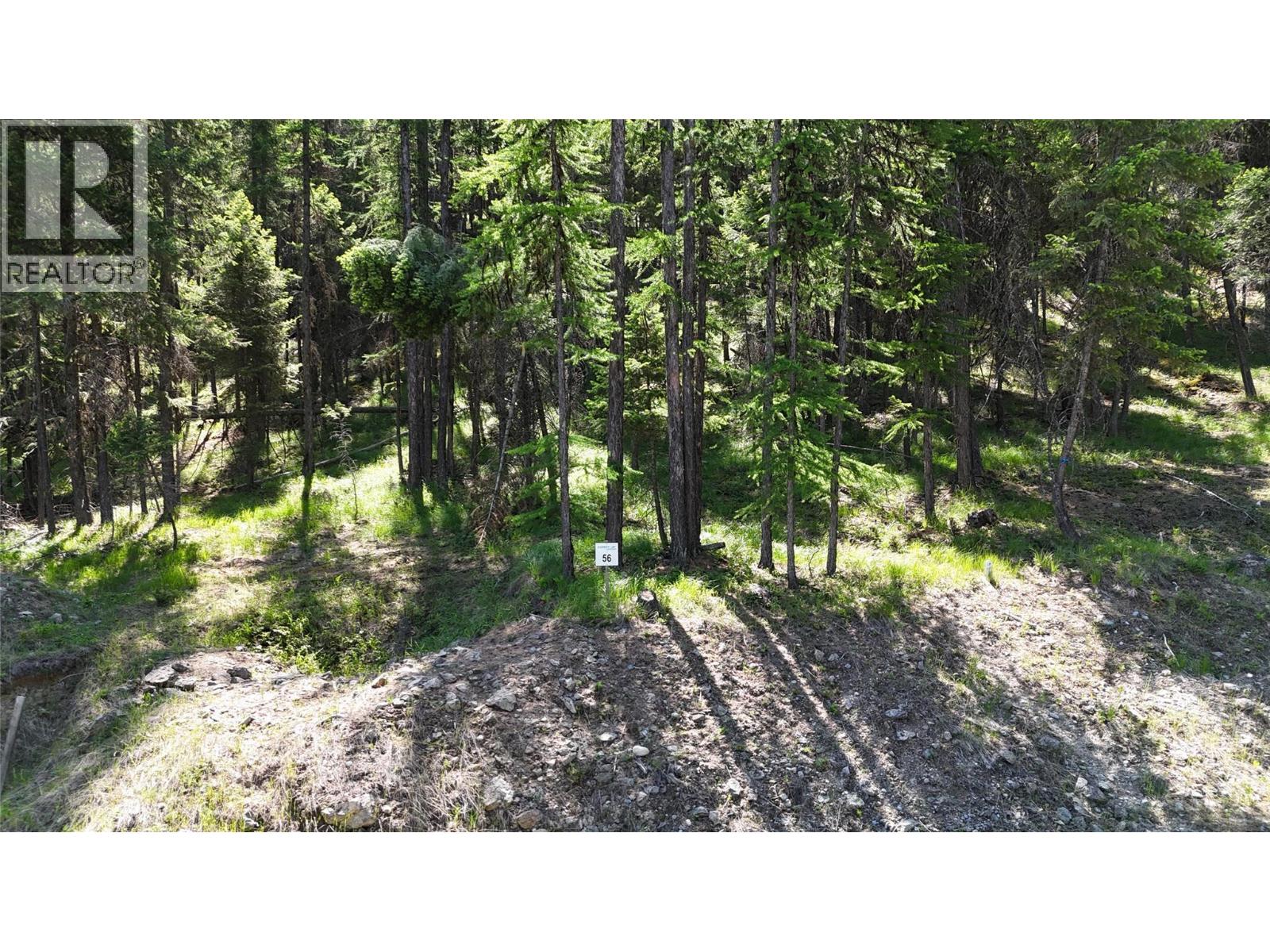 Sl 56 Osprey Landing View, Wardner, British Columbia  V0B 2J0 - Photo 3 - 10347536