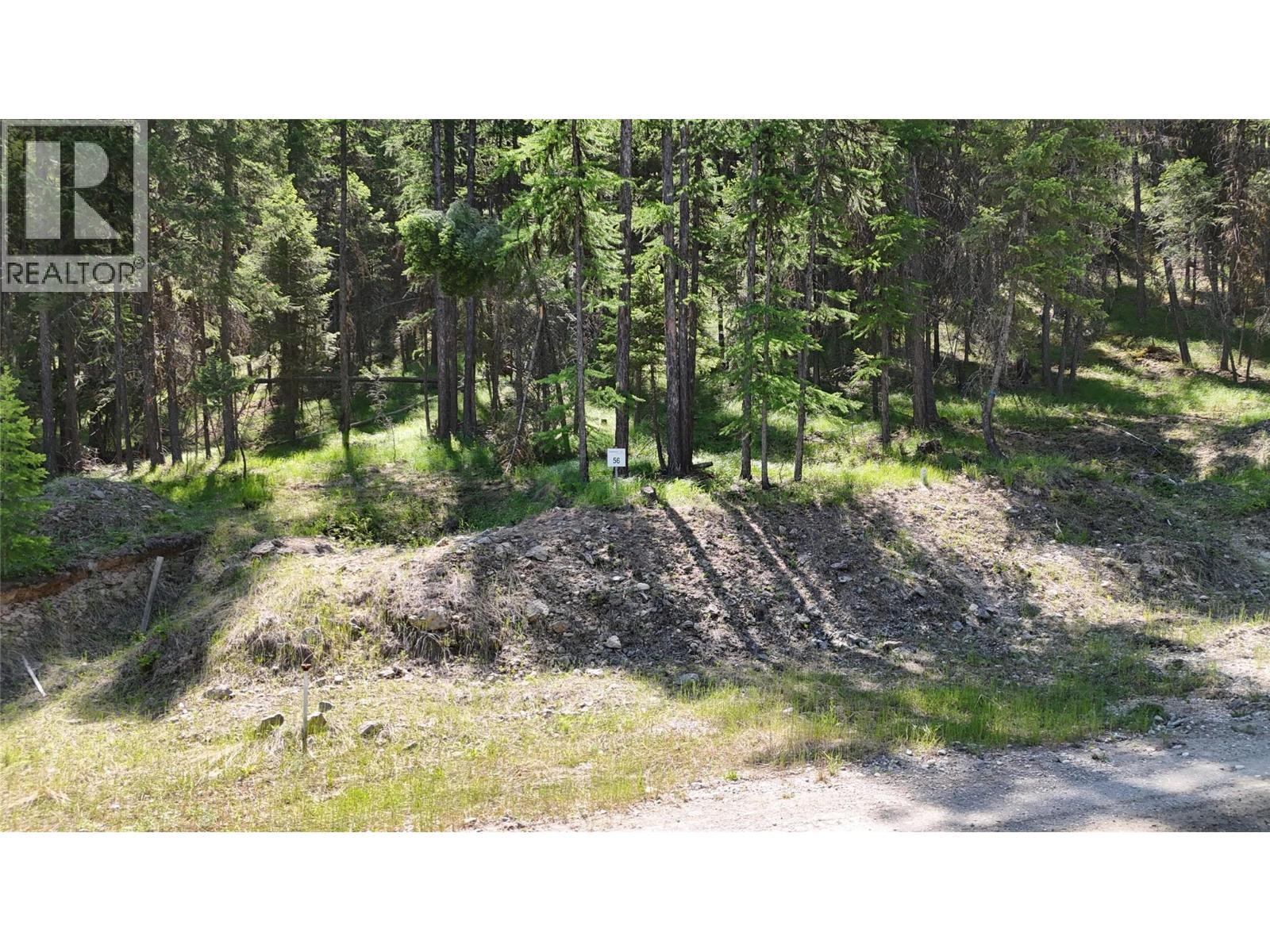 Sl 56 Osprey Landing View, Wardner, British Columbia  V0B 2J0 - Photo 4 - 10347536