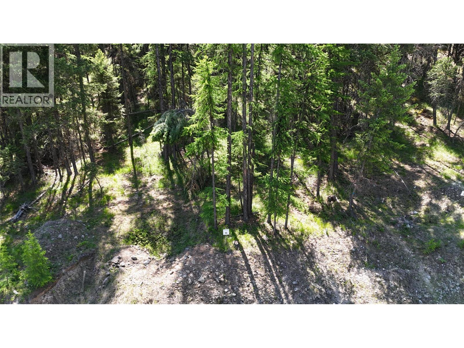 Sl 56 Osprey Landing View, Wardner, British Columbia  V0B 2J0 - Photo 5 - 10347536