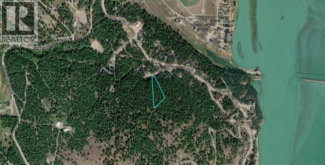 Sl58 Osprey Landing View, Wardner, British Columbia  V0B 2J0 - Photo 2 - 10347549