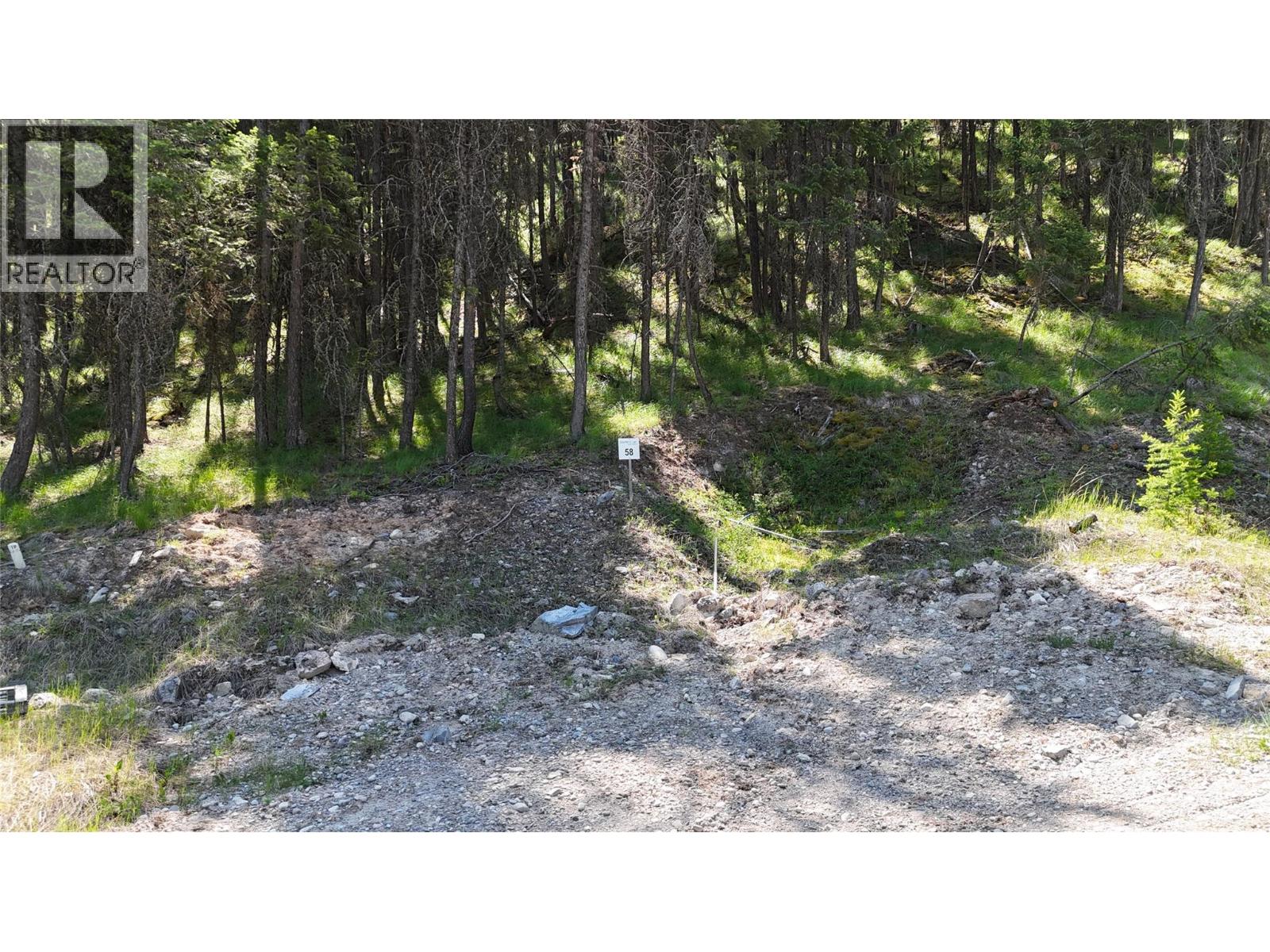 Sl58 Osprey Landing View, Wardner, British Columbia  V0B 2J0 - Photo 3 - 10347549