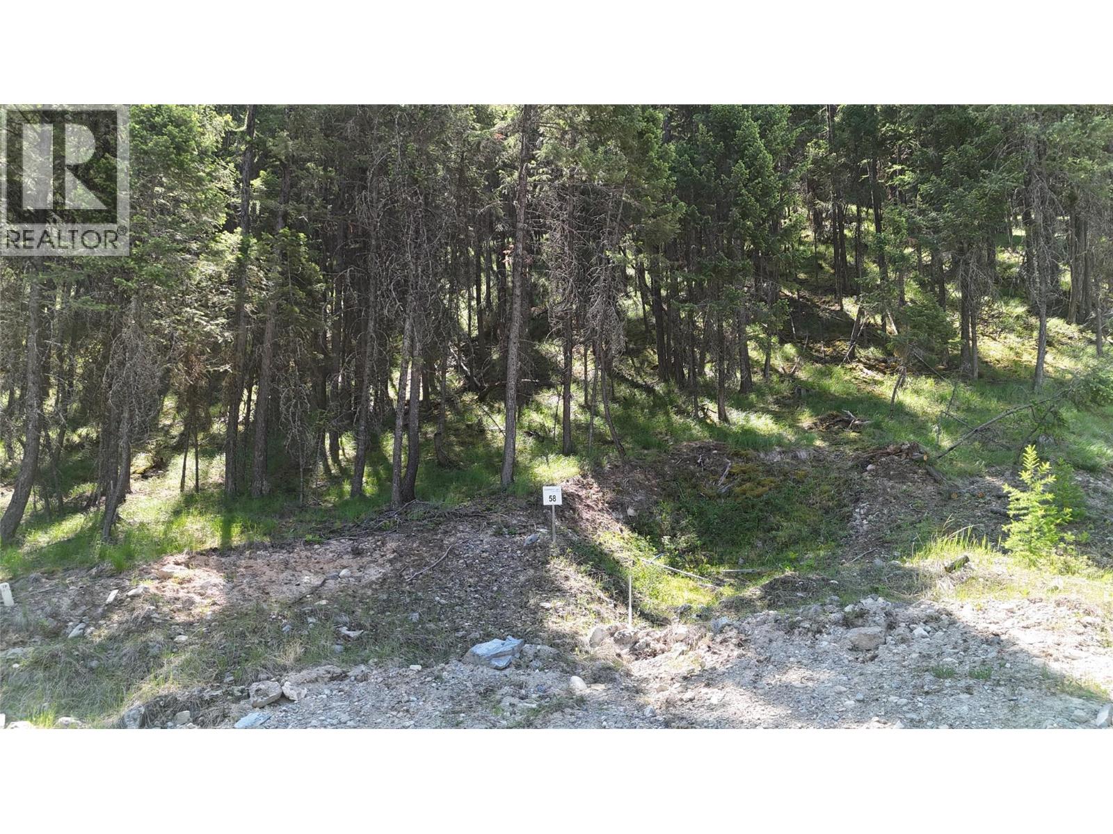 Sl58 Osprey Landing View, Wardner, British Columbia  V0B 2J0 - Photo 4 - 10347549