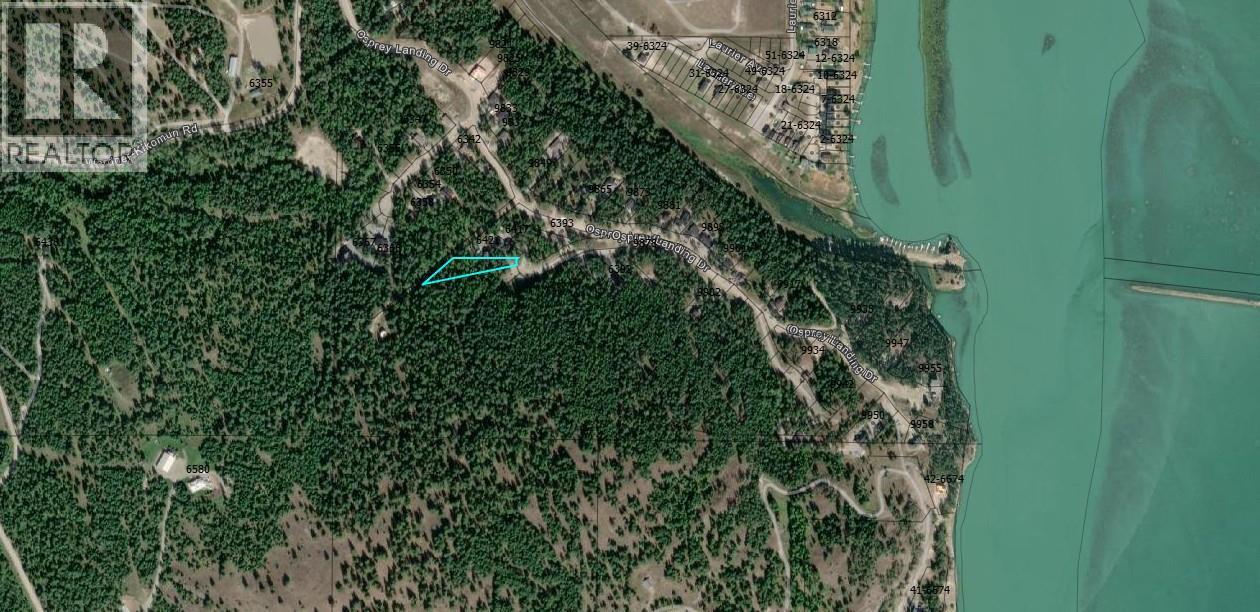 Sl62 Osprey Landing View, Wardner, British Columbia  V0B 2J0 - Photo 2 - 10347571