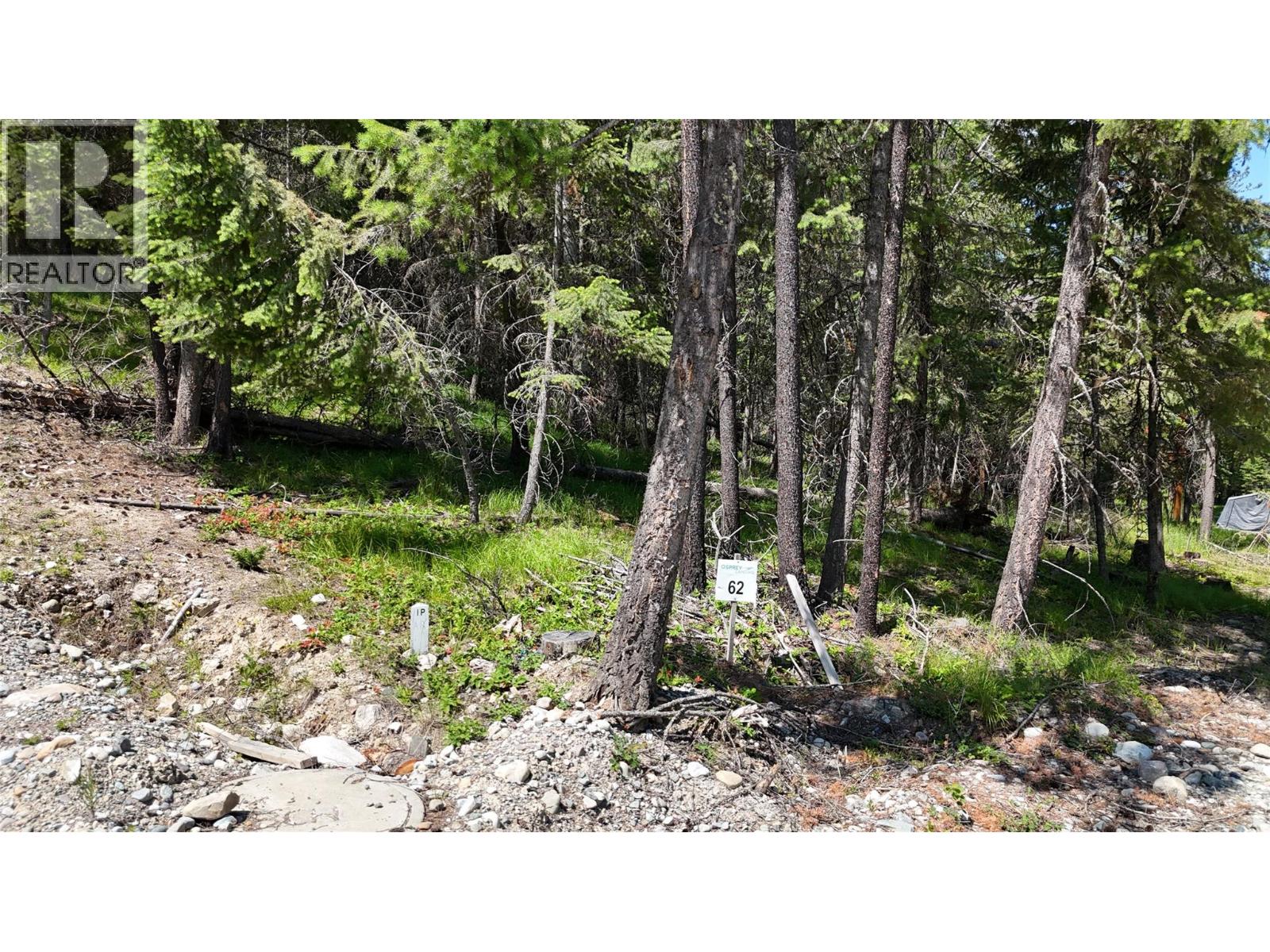 Sl62 Osprey Landing View, Wardner, British Columbia  V0B 2J0 - Photo 3 - 10347571