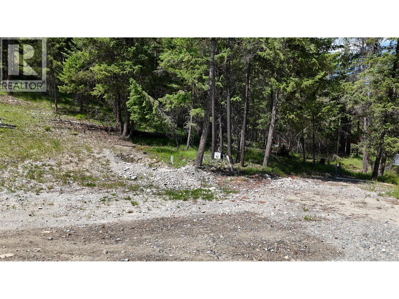 Sl62 Osprey Landing View, Wardner, British Columbia  V0B 2J0 - Photo 4 - 10347571