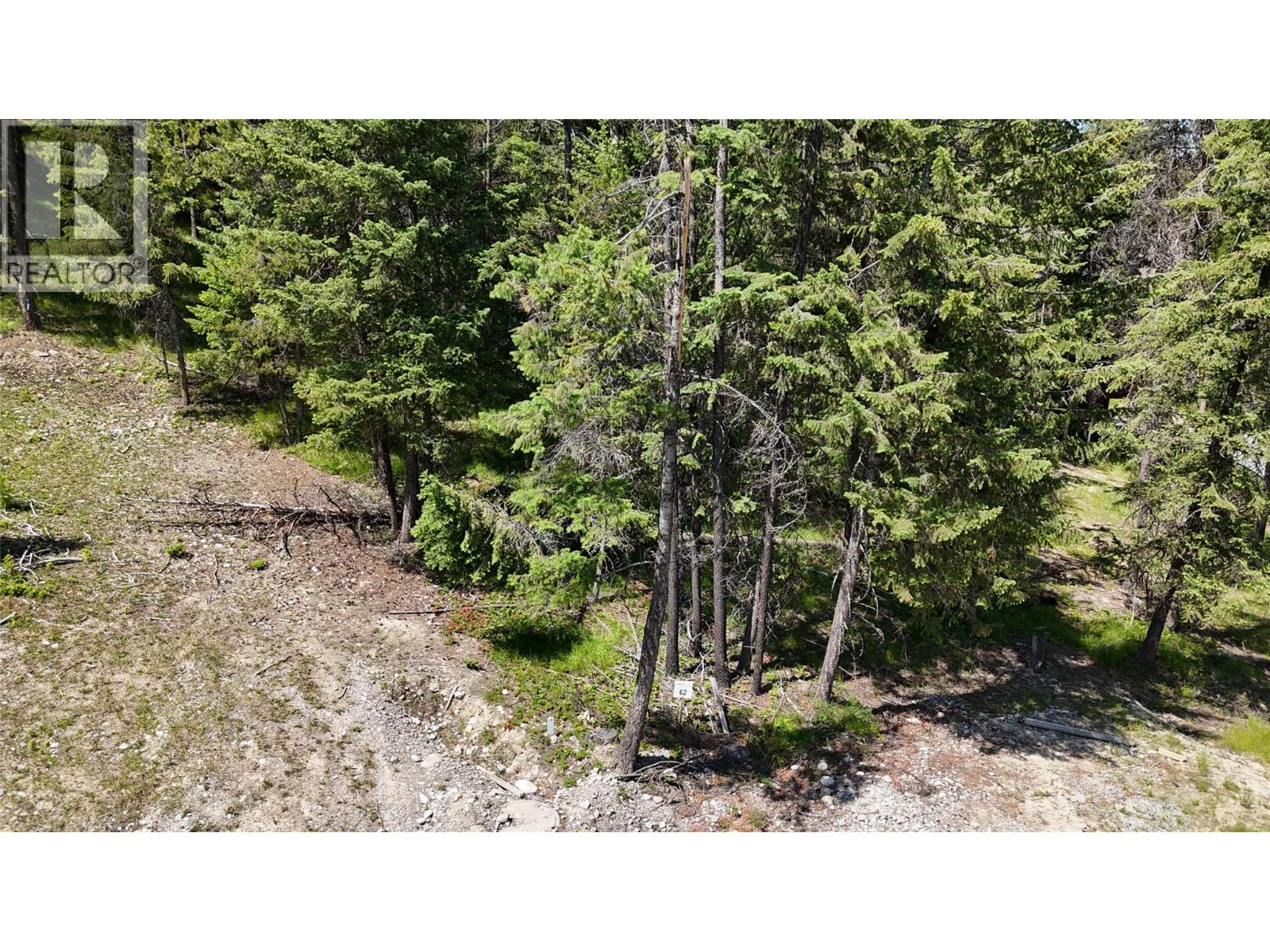 Sl62 Osprey Landing View, Wardner, British Columbia  V0B 2J0 - Photo 5 - 10347571
