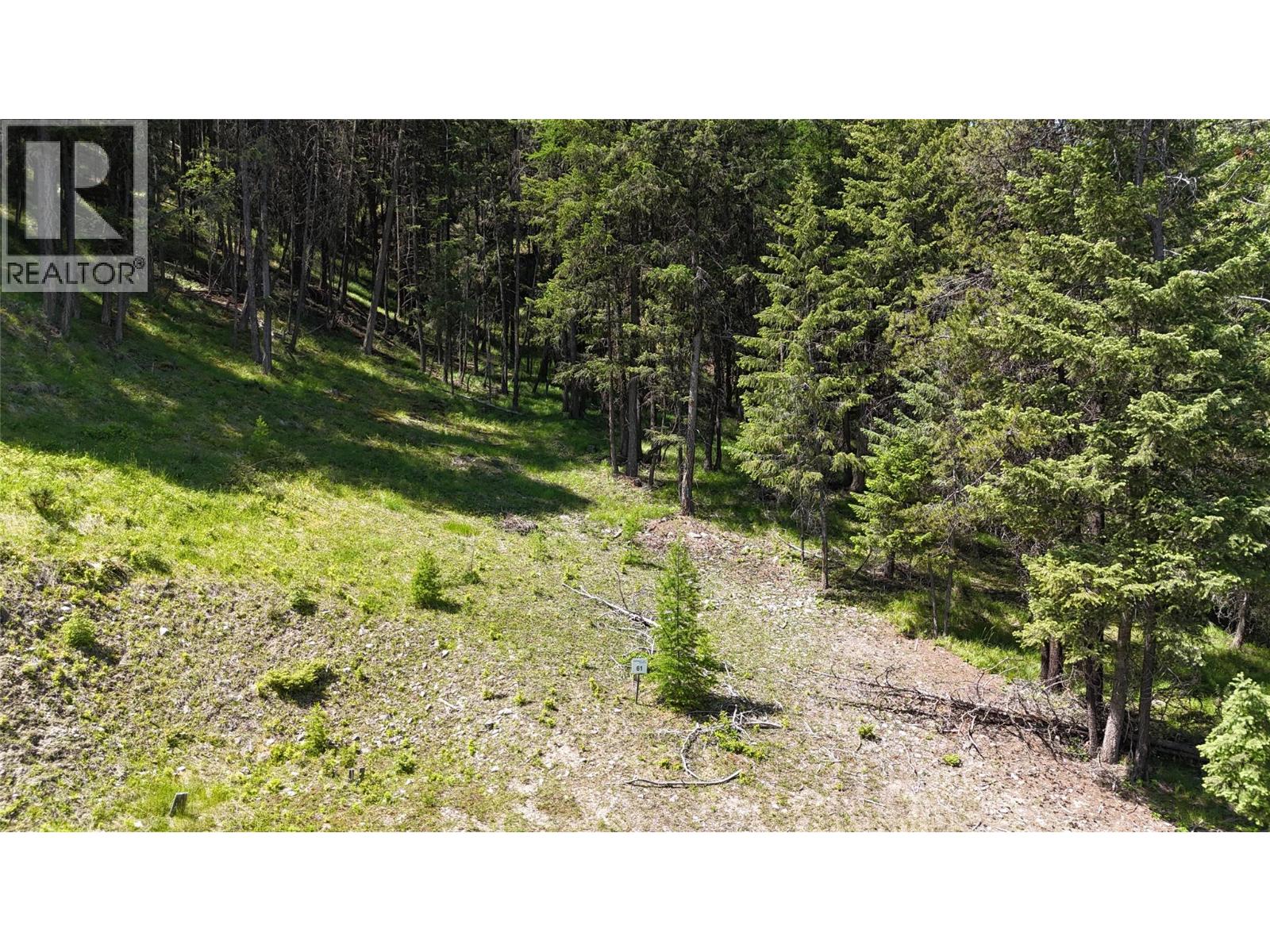 Sl 61 Osprey Landing  View, Wardner, British Columbia  V0B 2J0 - Photo 3 - 10347568