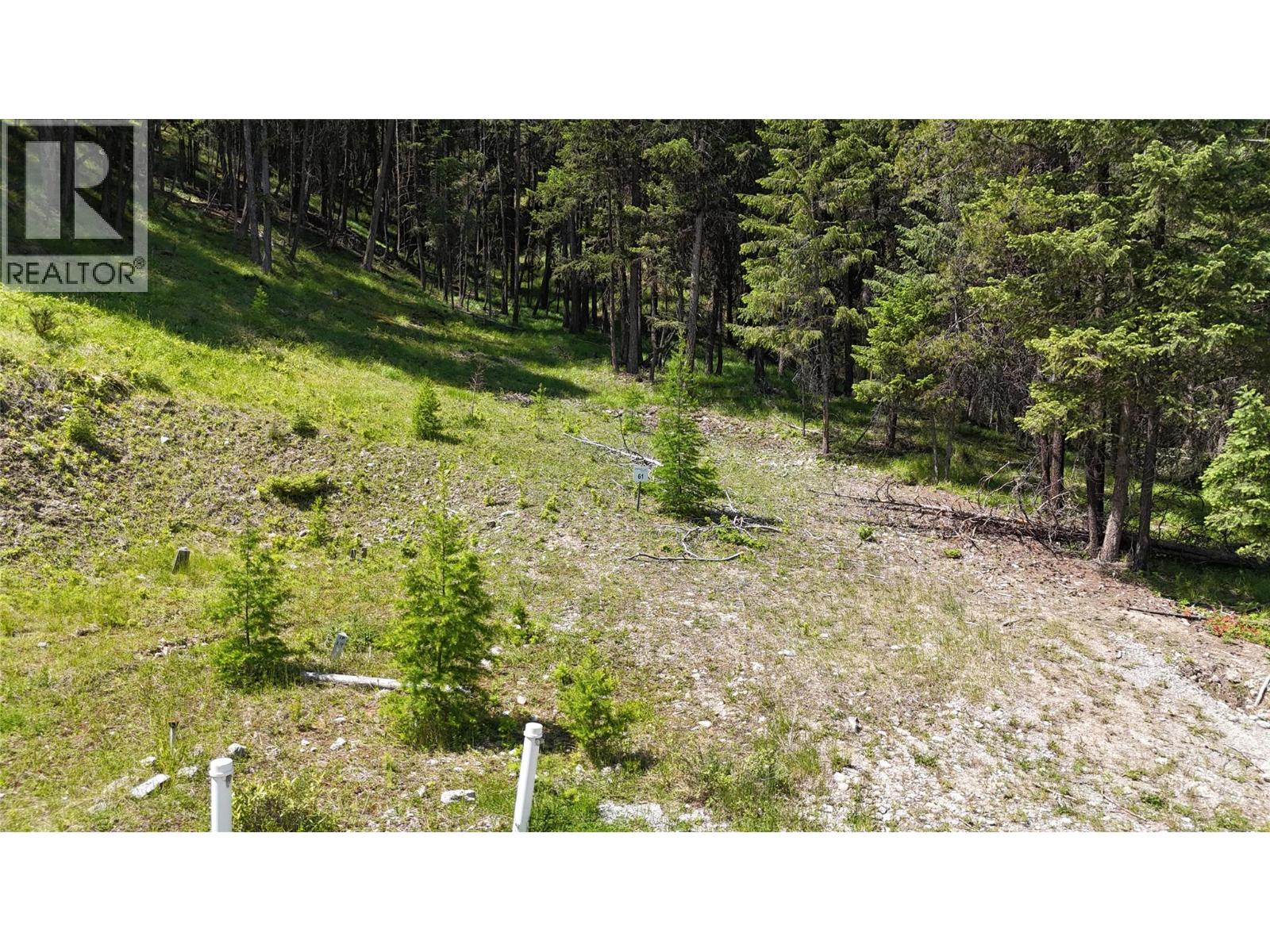 Sl 61 Osprey Landing  View, Wardner, British Columbia  V0B 2J0 - Photo 4 - 10347568