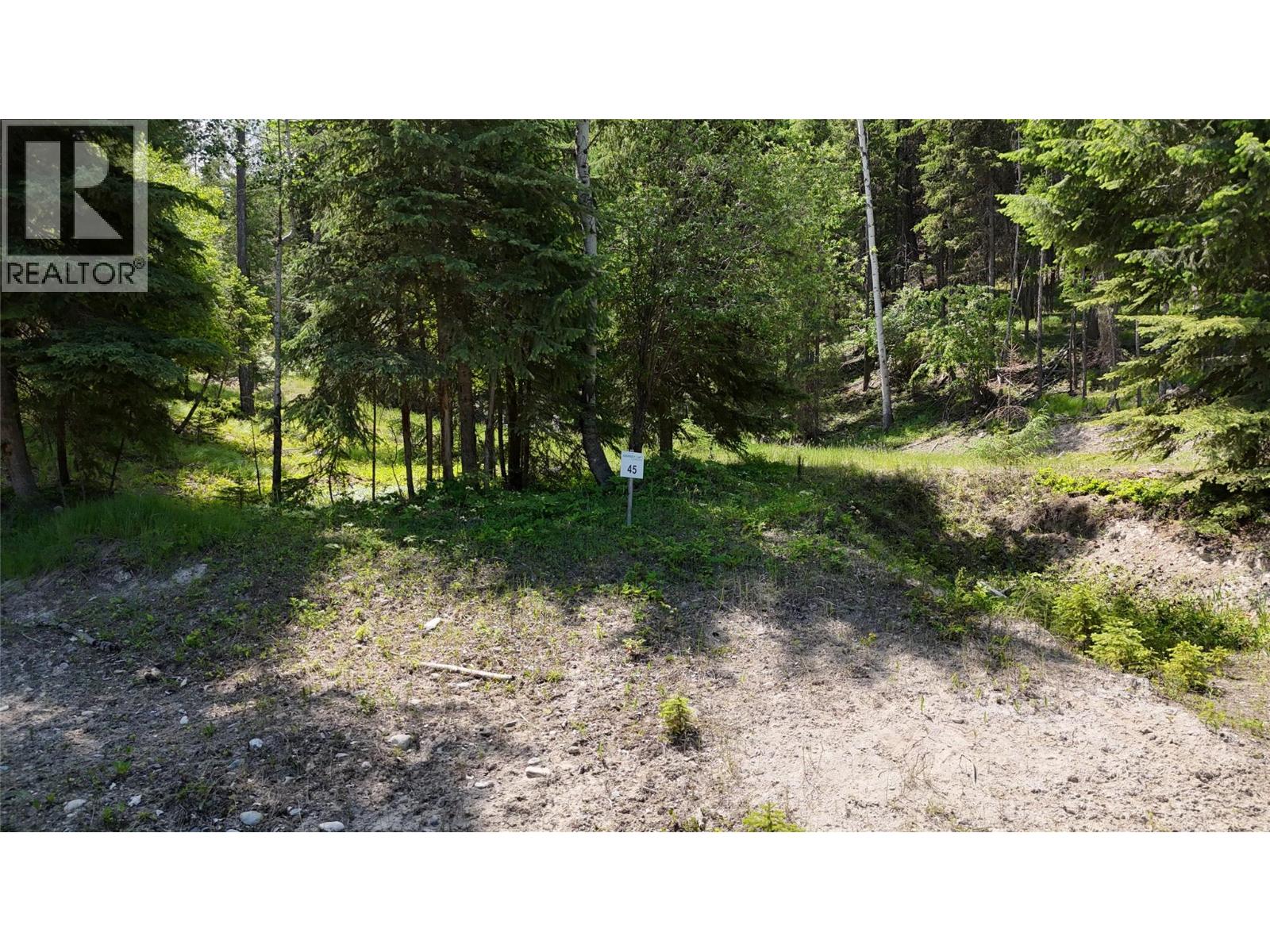 Sl45 Osprey Landing Drive, Wardner, British Columbia  V0B 2J0 - Photo 3 - 10347514