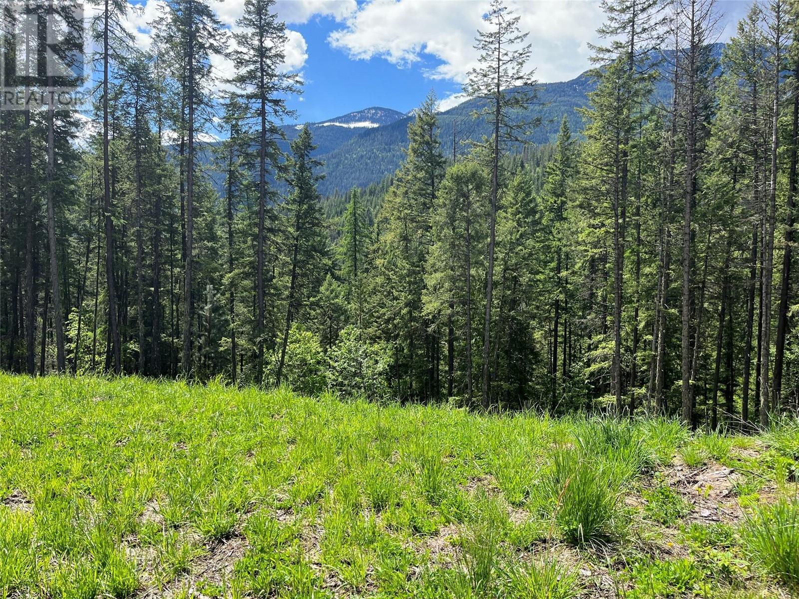 Lot 13 Pine Ridge Road, Kaslo, British Columbia  V0G 1M0 - Photo 6 - 10347722